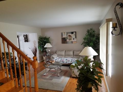521 Fall Cir, Roselle, IL 60172 photo 11