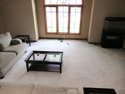 65 Erin Dr, Cary, IL 60013 photo 11