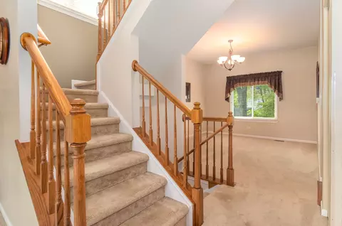 464 Raintree Dr, Oswego, IL 60543 photo 3