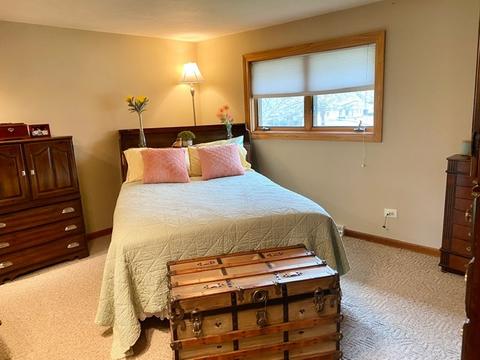 602 Thomas Dr, Morris, IL 60450 photo 9