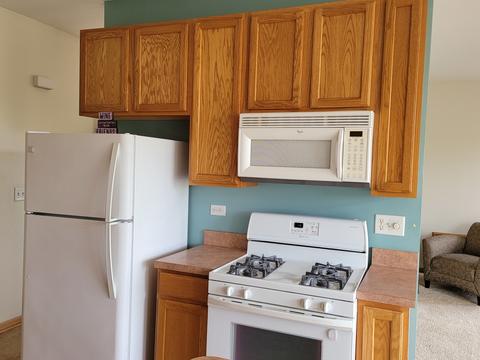 1481 Millbrook Dr, Algonquin, IL 60102 photo 9