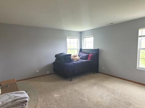 1481 Millbrook Dr, Algonquin, IL 60102 photo 16
