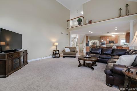12912 Barrow Ln, Plainfield, IL 60585 photo 15