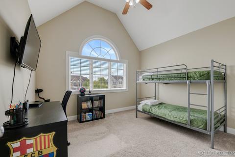 12912 Barrow Ln, Plainfield, IL 60585 photo 25