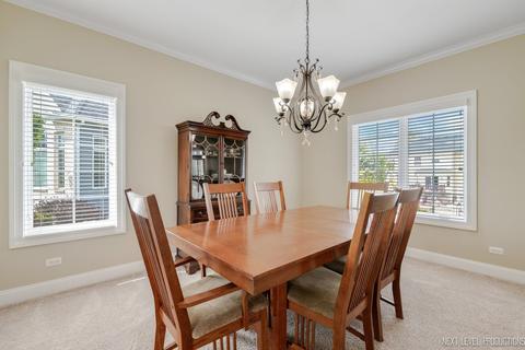 12912 Barrow Ln, Plainfield, IL 60585 photo 12