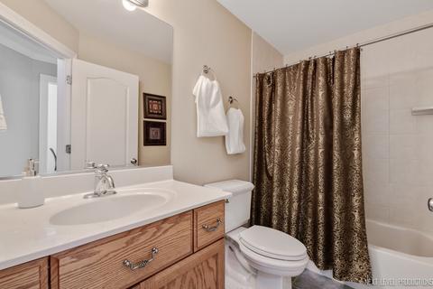 12912 Barrow Ln, Plainfield, IL 60585 photo 23
