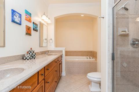 81 Spring Ave, Naperville, IL 60540 photo 13