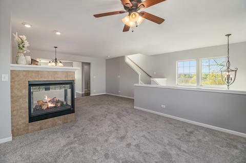 1085 Crane, Elgin, IL 60124 photo 3