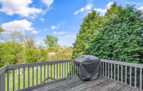 12 Pine Grove Ct, Algonquin, IL 60102 photo 35