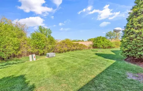 12 Pine Grove Ct, Algonquin, IL 60102 photo 38