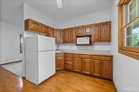 9 N458 Tamara, Elgin, IL 60124 photo 29
