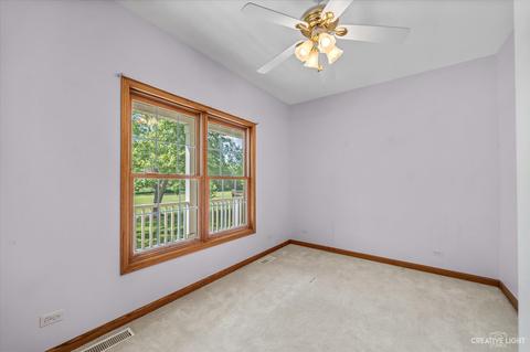 9 N458 Tamara, Elgin, IL 60124 photo 22
