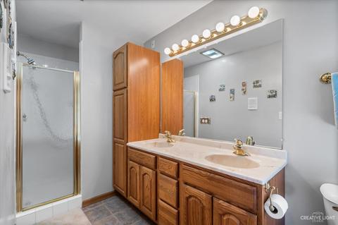 9 N458 Tamara, Elgin, IL 60124 photo 18