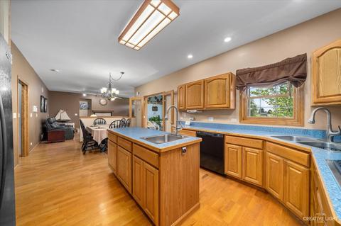 9 N458 Tamara, Elgin, IL 60124 photo 11