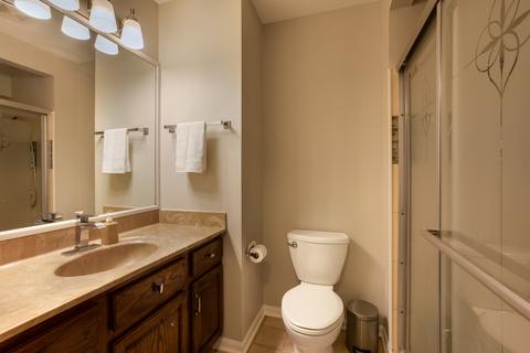 217 Windsor Dr, Bartlett, IL 60103 photo 8