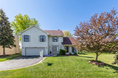 217 Windsor Dr, Bartlett, IL 60103 photo 1