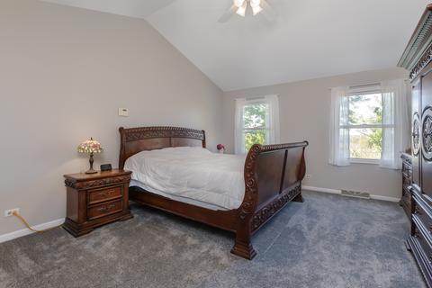 217 Windsor Dr, Bartlett, IL 60103 photo 9