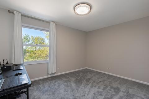 217 Windsor Dr, Bartlett, IL 60103 photo 12