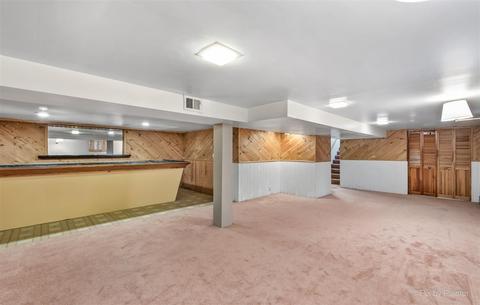 19 E Ardmore Ave, Roselle, IL 60172 photo 23