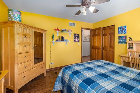 15230 Hamlin St, Plainfield, IL 60544 photo 21