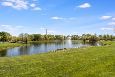 15230 Hamlin St, Plainfield, IL 60544 photo 30