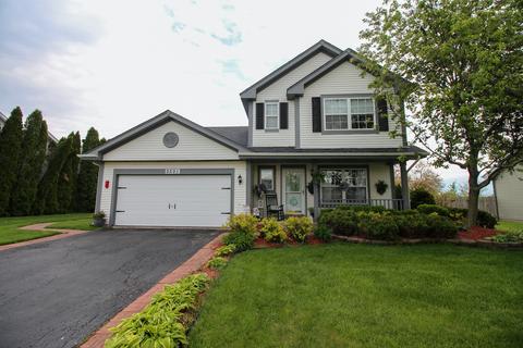 5501 W Orchard Trl, Monee, IL 60449 photo 1