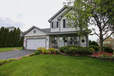 5501 W Orchard Trl, Monee, IL 60449 photo 21
