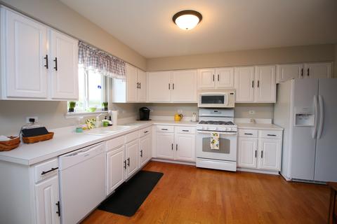 5501 W Orchard Trl, Monee, IL 60449 photo 2