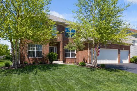 25036 Michele Dr, Plainfield, IL 60544 photo 2