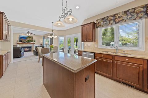25036 Michele Dr, Plainfield, IL 60544 photo 9