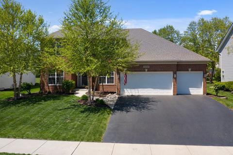 25036 Michele Dr, Plainfield, IL 60544 photo 45