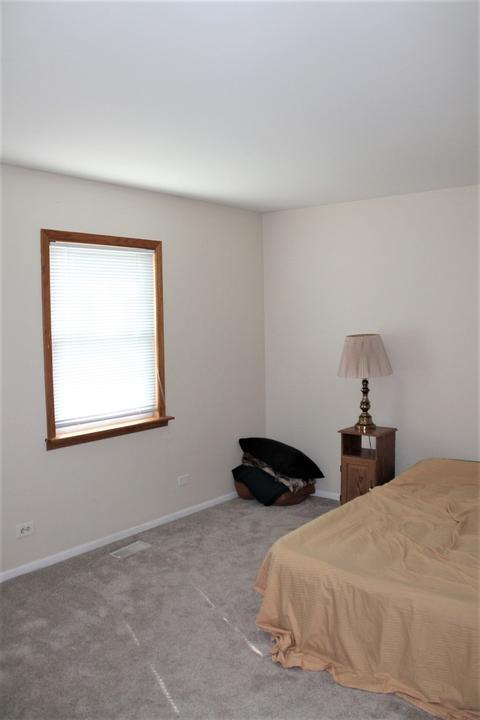 920 Fox Run Ln, Algonquin, IL 60102 photo 10