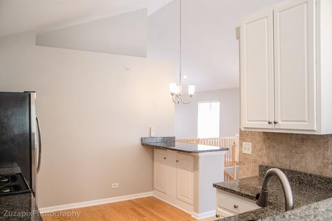 101 Cantal Ct, Wheeling, IL 60090 photo 14