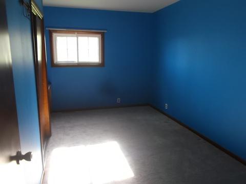 395 S 1st St, Sheldon, IL 60966 photo 13