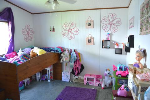 316 Paris St, Dewitt, IL 61735 photo 14