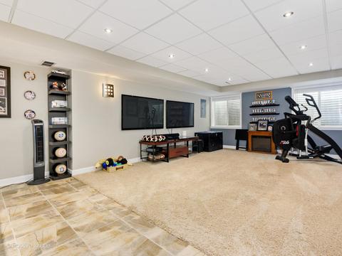 1323 Dancing Bear Ln, Elgin, IL 60120 photo 19