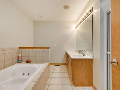 1323 Dancing Bear Ln, Elgin, IL 60120 photo 15
