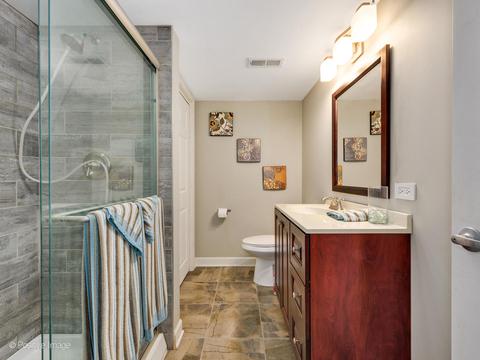 1323 Dancing Bear Ln, Elgin, IL 60120 photo 22