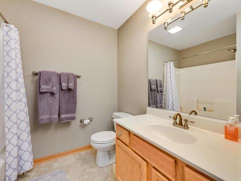 1323 Dancing Bear Ln, Elgin, IL 60120 photo 18