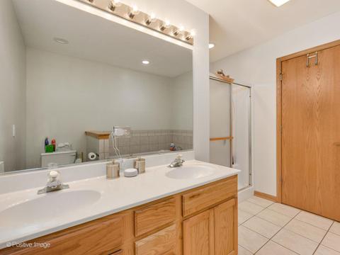 1323 Dancing Bear Ln, Elgin, IL 60120 photo 16