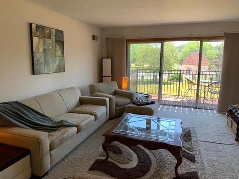 5000 Carriageway Dr #203, Rolling Meadows, IL 60008 photo 9