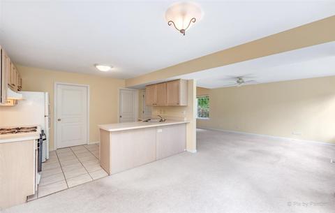 1363 Spaulding Rd, Bartlett, IL 60103 photo 9