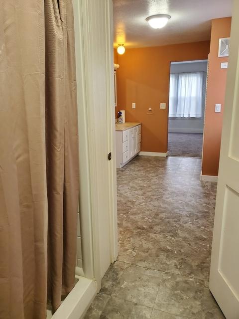 187 E Main St, Braidwood, IL 60408 photo 22