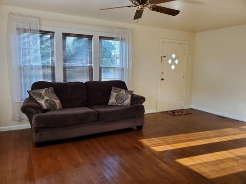 187 E Main St, Braidwood, IL 60408 photo 19
