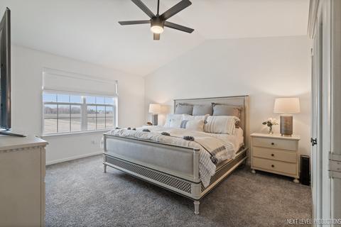 12308 Dublin Ln, Plainfield, IL 60585 photo 10