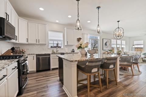 12308 Dublin Ln, Plainfield, IL 60585 photo 3