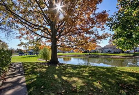 1221 Elder Ct #52A, Wheeling, IL 60090 photo 22