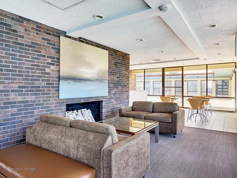 260 E Chestnut St #2601, Chicago, IL 60611 photo 24