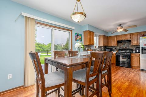 20919 W Ardmore Cir, Plainfield, IL 60544 photo 3