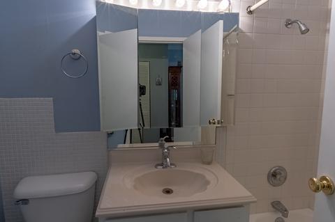 2730 Central St #2B, Evanston, IL 60201 photo 15